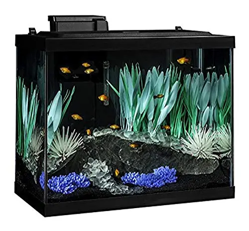 Tetra 20 Gallon ColorFusion Aquarium Kit